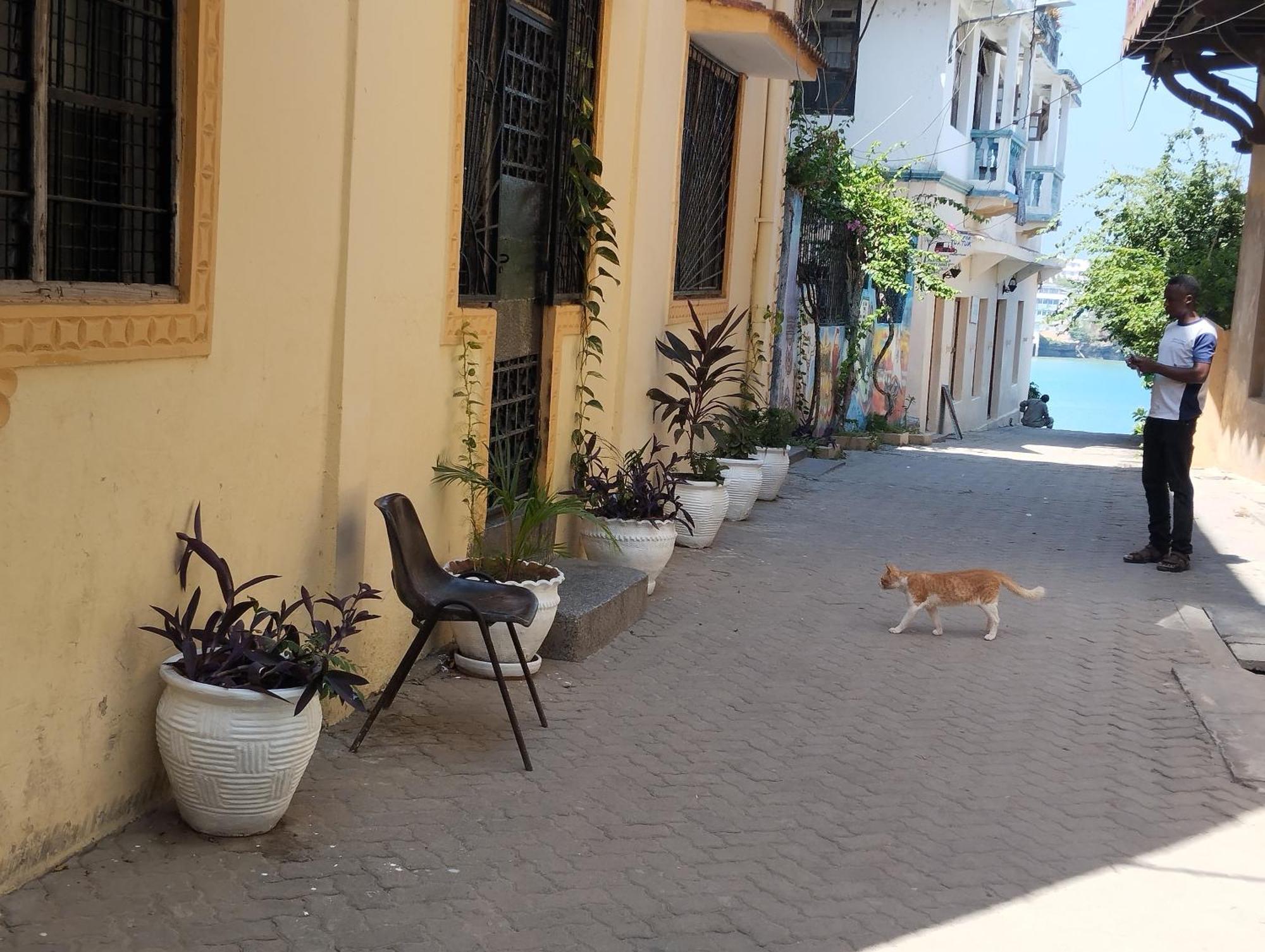 Mombasa Comfort House, Old Town Esterno foto
